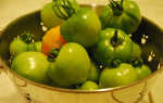 Зелёные помидоры на зиму — вкусные рецепты с фото (пошагово)