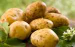 Лучшие способы посадки картофеля