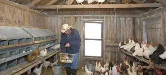 Вентиляция в курятнике своими руками: фото схема