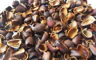 Настойка на скорлупе кедровых орехов — рецепты на спирту, самогоне и водке