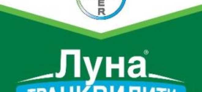 Луна Транквилити (фунгицид) — нормы расхода, отзывы, инструкция