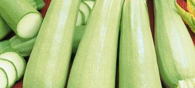 Кабачки Сцилли F1 — Семена — Кабачки — Овощи — Семена и саженцы почтой от НПО Сады России (Сад и огород)