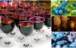 Вкусный и простой рецепт домашнего вина из слив