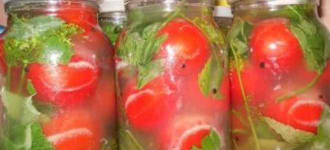 Приготовление квашеных зеленых помидоров в ведре