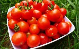 Новые сорта томатов на 2019 год