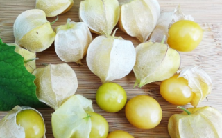 Физалис ананасовый: рецепты приготовления на зиму, выращивание, уход, фото