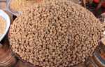 Чуфа, земляной миндаль, как выращивать чуфу, основные свойства, применение чуфы