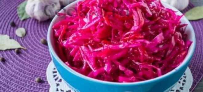 Капуста со свеклой маринованная (быстрого приготовления) – гармония вкуса