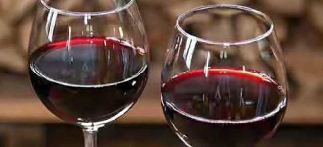 Пастеризация вина в домашних условиях: технология, особенности и рекомендации