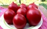 7 сортов помидор Де Барао: черный, розовый, золотой, царский, гигант, красный