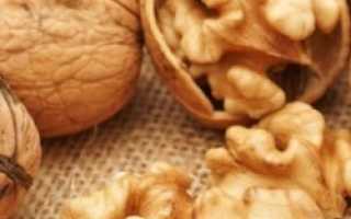 Грецкие орехи для кормящих мам: можно ли орехи при грудном вскармливании, сколько можно есть грецких орехов?