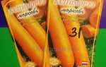 Морковь Балтимор F1: описание, фото, отзывы