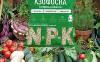 Удобрение Азофоска: инструкция по применению на огороде