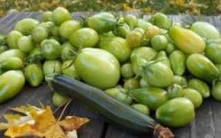 Можно ли есть зеленые помидоры: чем полезны и вредны для организма