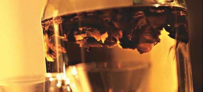 Рецепт домашней настойки на перегородках грецкого ореха