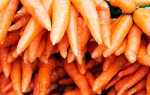 Морковь роте ризен красный великан: описание и характеристики, как сажать отзывы — eТеплица