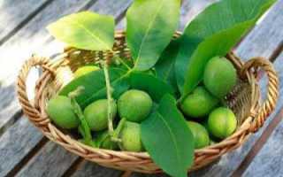 Зеленые грецкие орехи