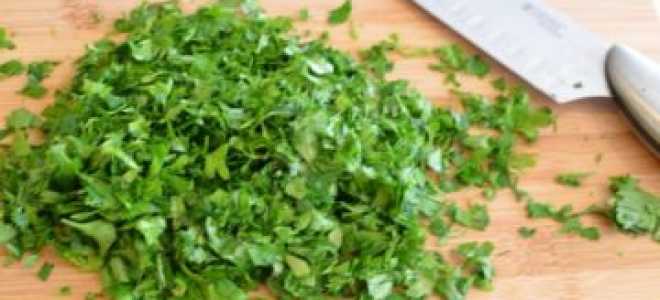 Как засолить петрушку на зиму свежей в домашних условиях