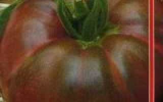 Фото, отзывы, описание, характеристика, урожайность сорта томата «Цыган»