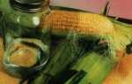 Как сделать самогон из кукурузы в домашних условиях: рецепты