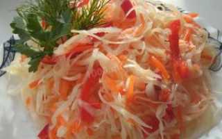 Рецепт суточной капусты: маринование с морковью, перцем, чесноком и уксусом, суточный салат