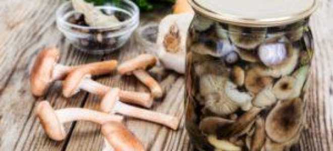 Помидоры с сельдереем на зиму: рецепты маринования с фото и видео