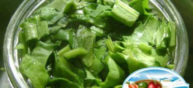 Консервированный щавель — пошаговый рецепт приготовления