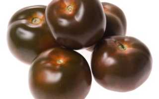 Сорт томата Кумато — описание с фото, видео, характеристика, урожайность, отзывы