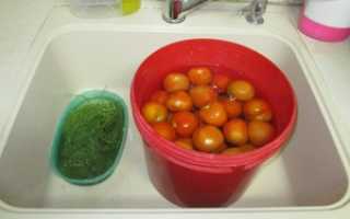 Как на зиму засолить помидоры в ведре: особенности засолки зелёных помидор в ведре, лучшие рецепты и советы