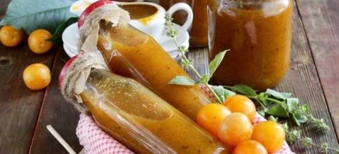 Ткемали из желтой алычи — рецепты по-грузински на зиму, с помидорами, с хмели-сунели и в мультиварке