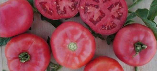 Томат Розовое чудо: характеристика и описание сорта