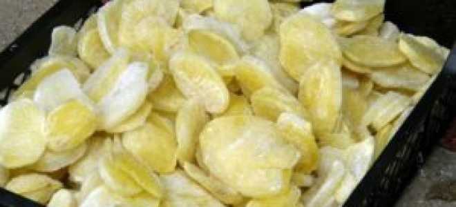 Как заморозить дыню на зиму в домашних условиях: рецепты, можно ли