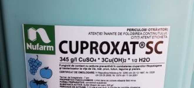 Фунгицид Купроксат: инструкция по применению, отзывы