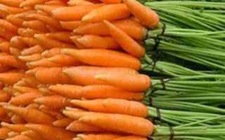 Маленькая морковь: описание, фото
