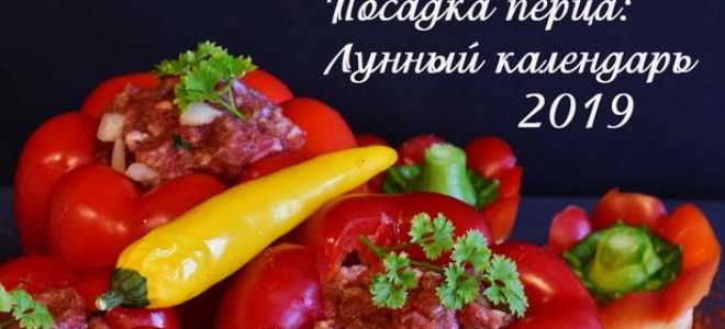 Лунный календарь-2019: Посадка рассады перца 2019, Дача
