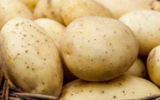 Хранение картофеля после сбора урожая: сроки, температура и другие нюансы