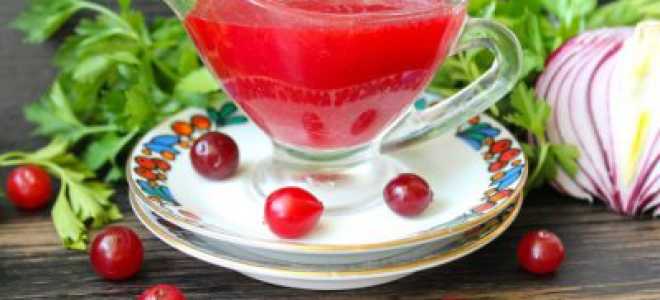 Клюквенный соус к мясу: простой и классический рецепты, вариации ( отзывы)