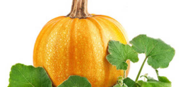 Вино из тыквы в домашних условиях простой рецепт