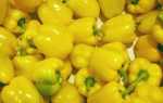 Перец Бизон Желтый: особенности сорта, описание, урожайность, отзывы