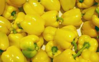 Перец Бизон Желтый: особенности сорта, описание, урожайность, отзывы