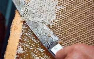 Пчелиный забрус – что это такое и с чем его едят?