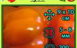 Перец Оранжевое чудо — описание, отзывы, похожие сорта оранжевого перца