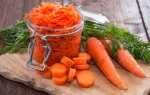 Как сохранить морковь на зиму в домашних условиях в подполе: в чем и как лучше?