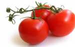 Ультраскороспелые сорта томатов для открытого грунта