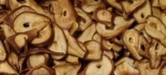 Как сушить груши в духовке в домашних условиях на зиму