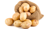 Выращивание картофеля по голландской технологии: описание способа, плюсы и минусы метода, а также правила посадки на даче и в домашних условиях