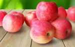 Яблоки Фуджи описание и характеристики сорта, польза и вред