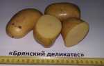 Картофель Брянский деликатес: описание сорта, фото, отзывы