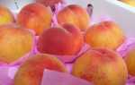 Как заморозить персики на зиму в домашних условиях: 6 способов