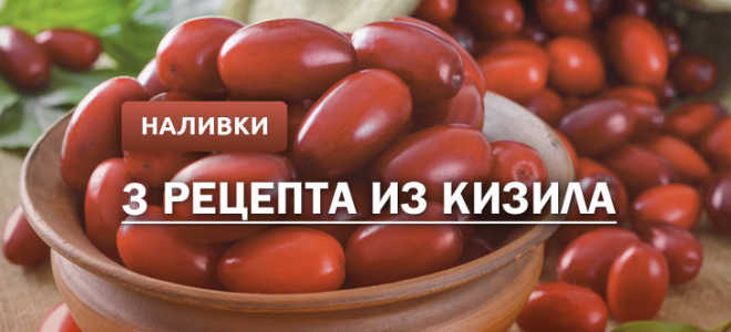 Наливка из кизила: 3 рецепта в домашних условиях
